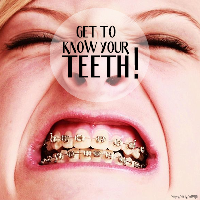 What Is an Orthodontist